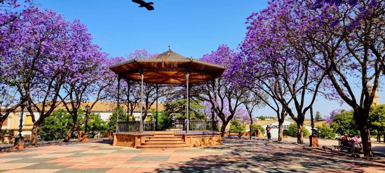 شقة Alazan Jerez Ii-Parking Gratis-Wifi-Netflix جيريز المظهر الخارجي الصورة
